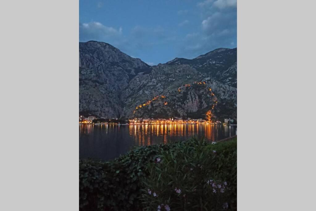 Chillout Apartment In Kotor Bay Dış mekan fotoğraf